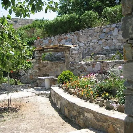 Oleander Posidhonia (Syros)